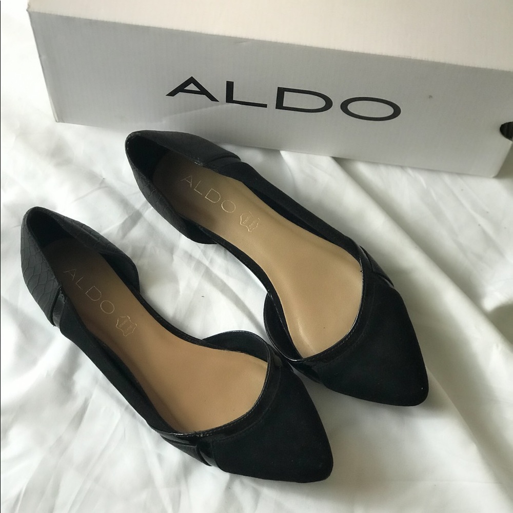 Aldo Pointy Flats